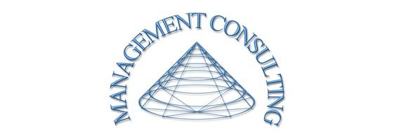 management and consulting in the model