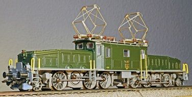 Crocodile Model Train