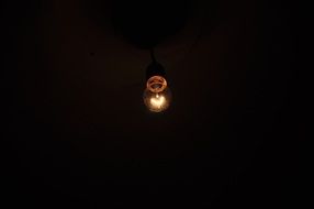 Bulb Light in the Dark