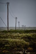 power lines along the agricultural field