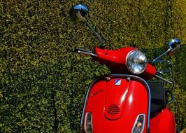 red motor scooter near hedge