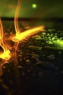 yellow light and water drops
