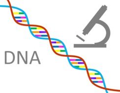 Genetics, conceptual drawing