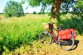 A female bike stands near a tree