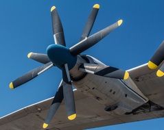 Photo of the Aircraft's propeller