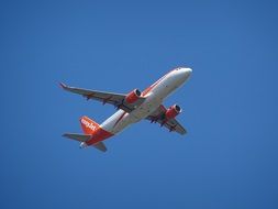 plane flies in the clear sky