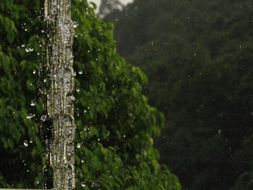 drops of water on Wet Chain