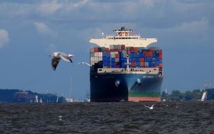cargo ship in the port of Hamburg