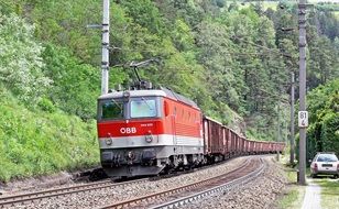 Train Burner among the green plants