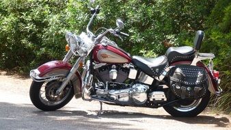 side view of a chromed motorcycle in nature