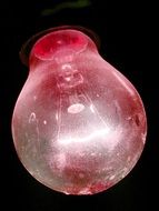 Light Bulb Pear