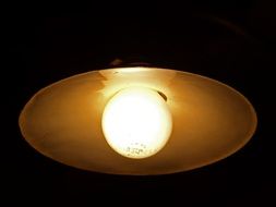 Old Bulb