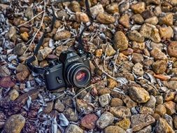 Vintage nikon Camera lying among stones