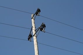 pole with power supplies
