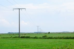 wooden power poles on a green field