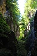 Bridge across partnach gorge, germany, bavaria