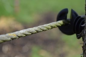 white pasture fence