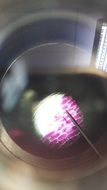 Microscope view of cell