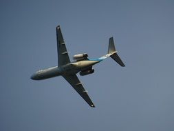 Flyer Aircraft Wing
