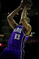 Picture of professional Basketball