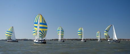 striped sailboats at ocean competitions