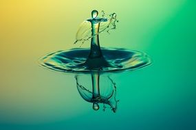 drop in water macro photo