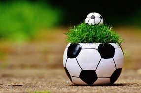 soccer ball like a flower pot