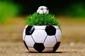 ball like a flower pot