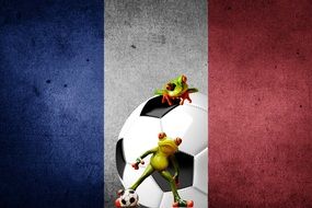 frogs playing football