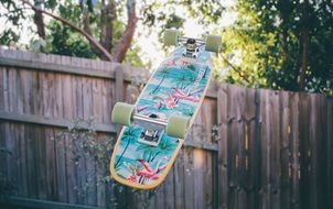 Picture of Skateboard in a flight