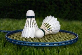 racket for badminton on green grass