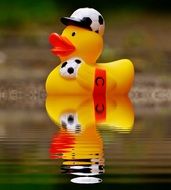 Rubber Duck