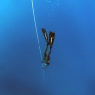 freediving in the ocean