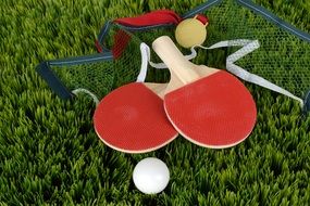 rackets, balls and nets for ping pong table