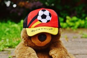 teddy in a cap like a football fan close up