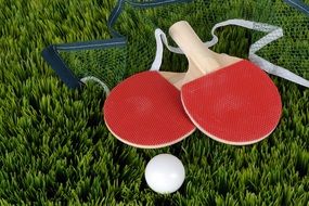 two red rackets on the grass for table tennis