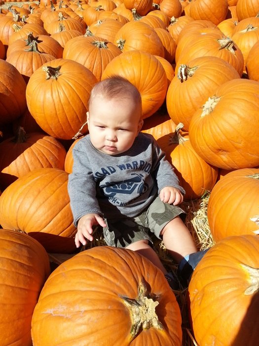 A lot of the pumpkins and toddler