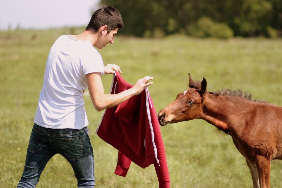 boy playing with foal red jacket
