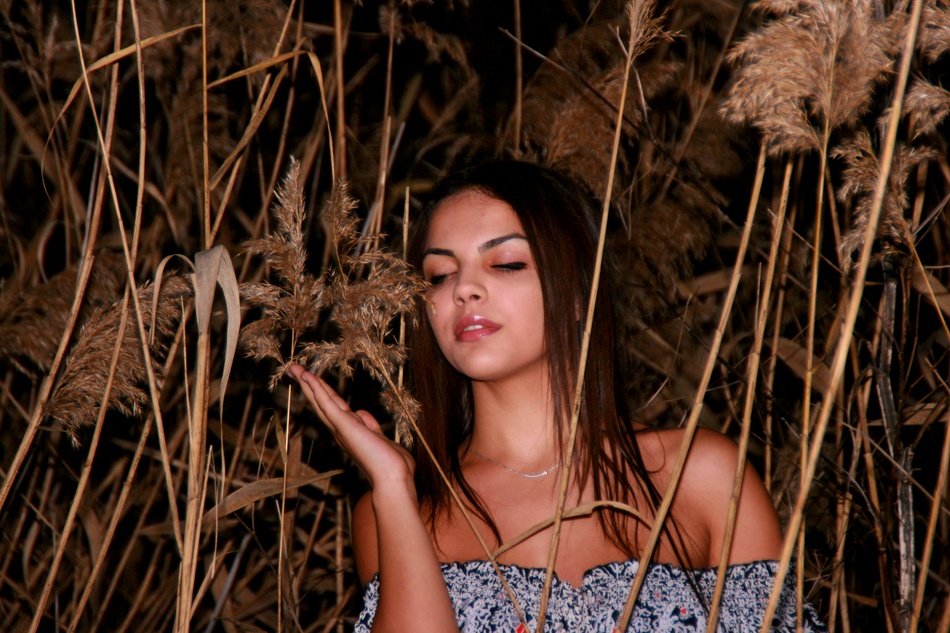 beautiful girl among the cane at dusk