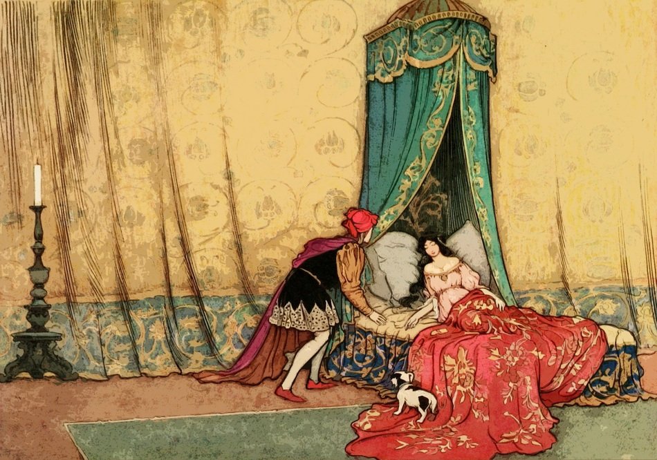 a beautiful illustration of the book