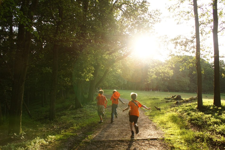 children run near the forest