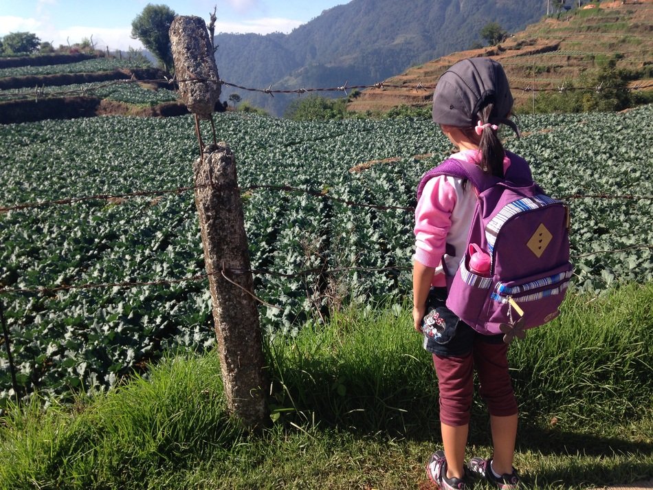 little girl with backpack looking at fenced field