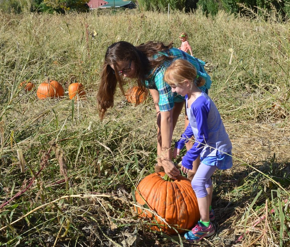 mom and daughter pick pumpkin for halloween