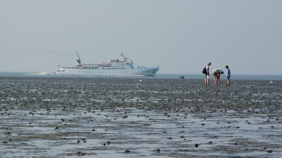 people on the sandy beach near the ship in the water