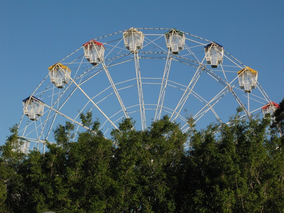 ferris wheel over trees in an amusement park