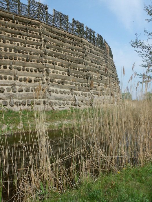 Slav Castle in Raddusch