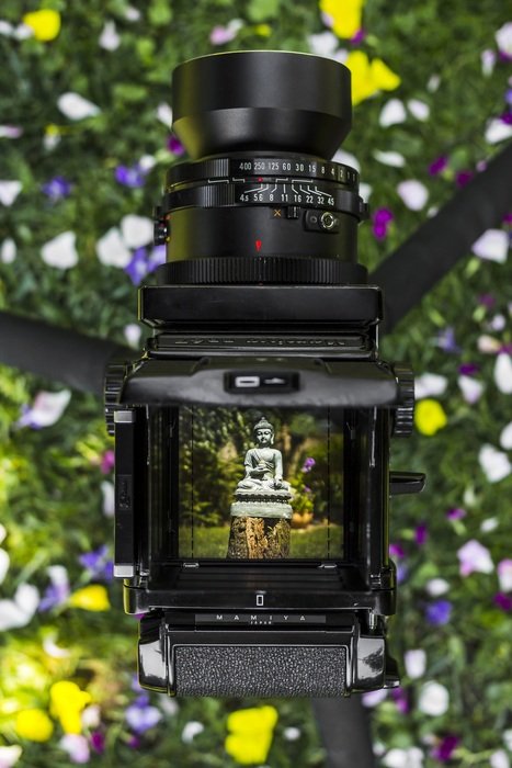 the image of the Buddha statues in the window of the camera