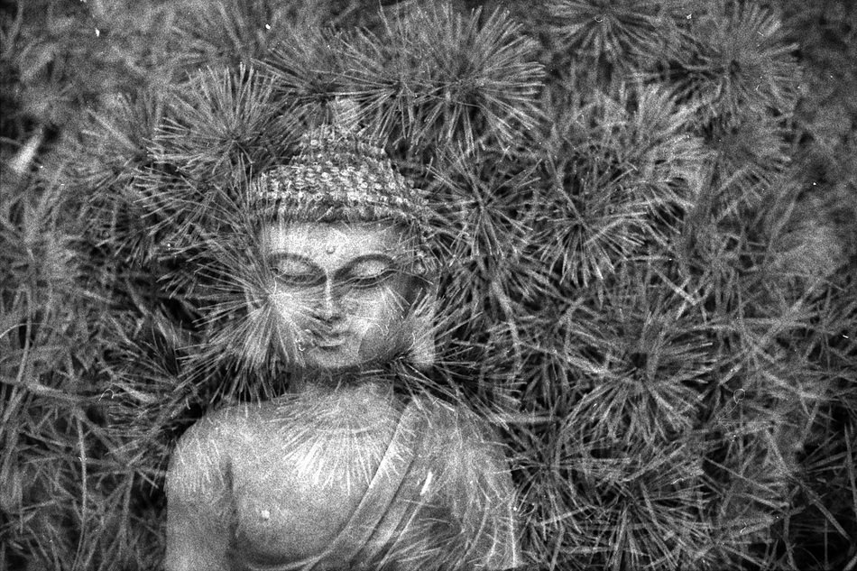 buddha sculpture in black and white image