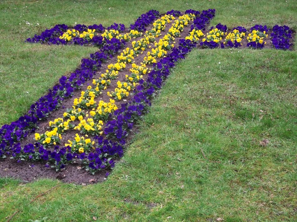Cross Flowers R