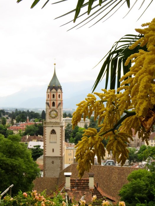 panoramic view of the church among the trees in south tyrol
